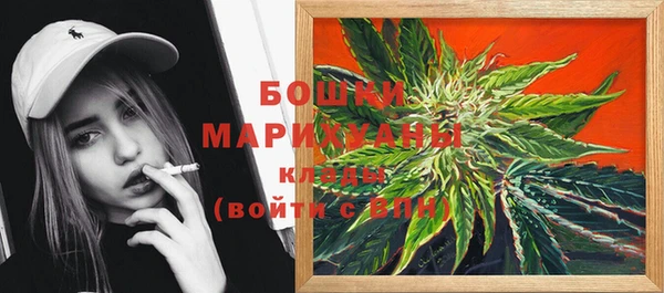 ALPHA PVP Ельня