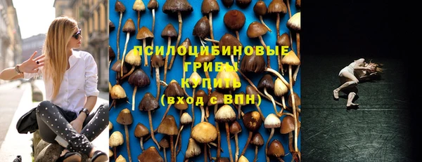 ALPHA PVP Ельня